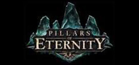  Pillars of Eternity Key kaufen