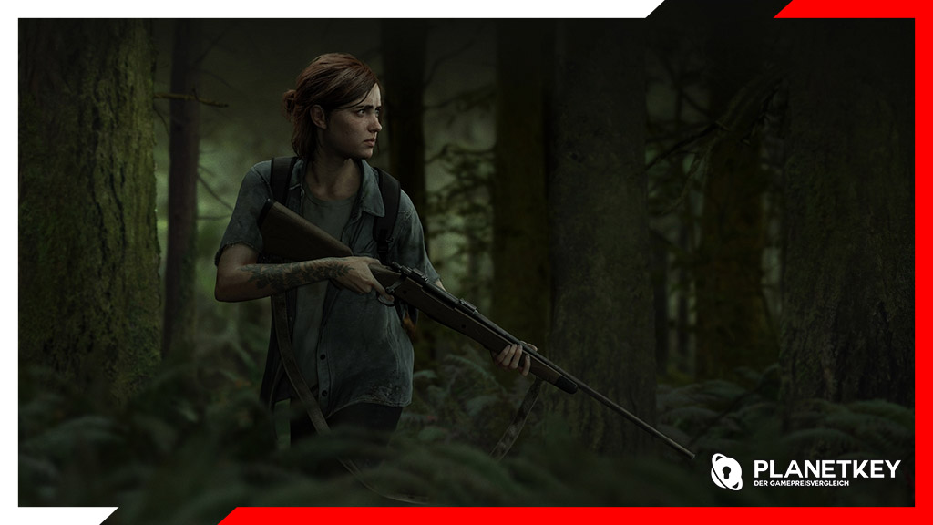 Last of us für PC?!