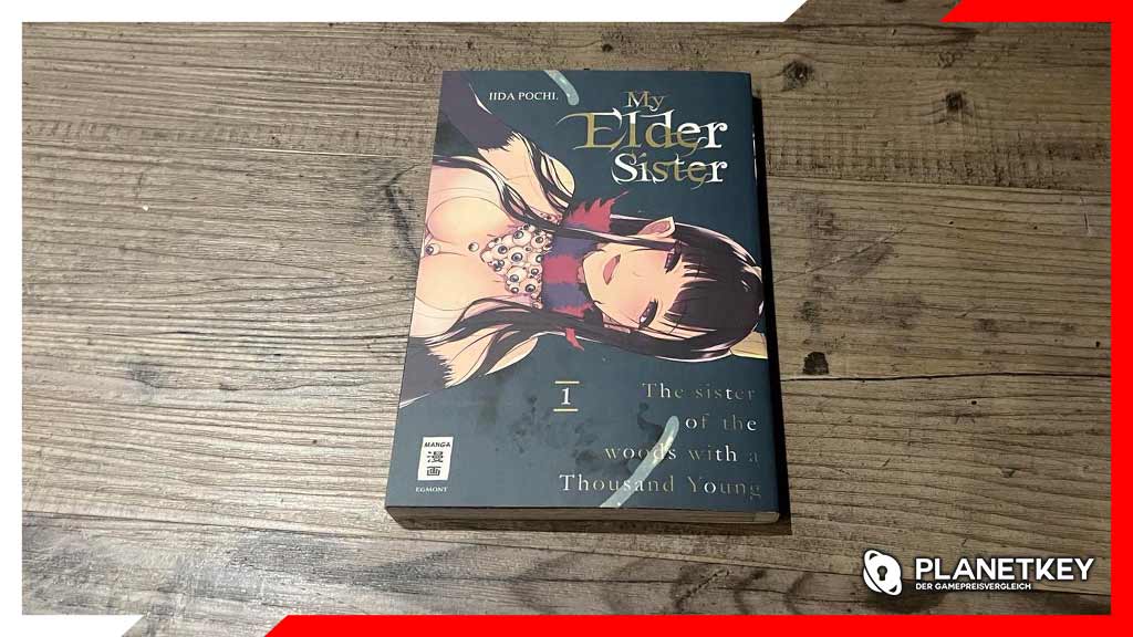 REVIEW: My Elder Sister