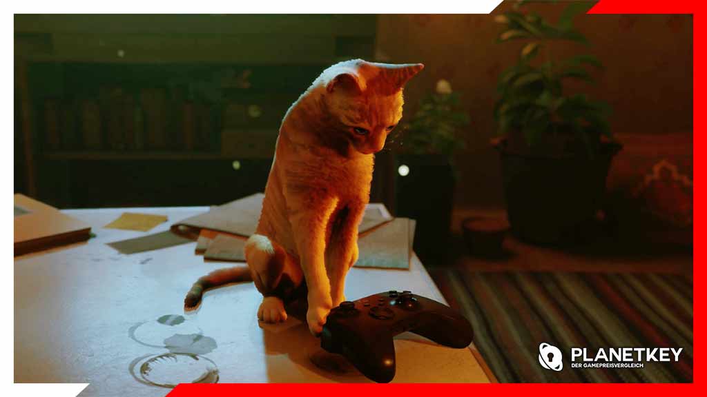 Stray erscheint diesen August auf Xbox