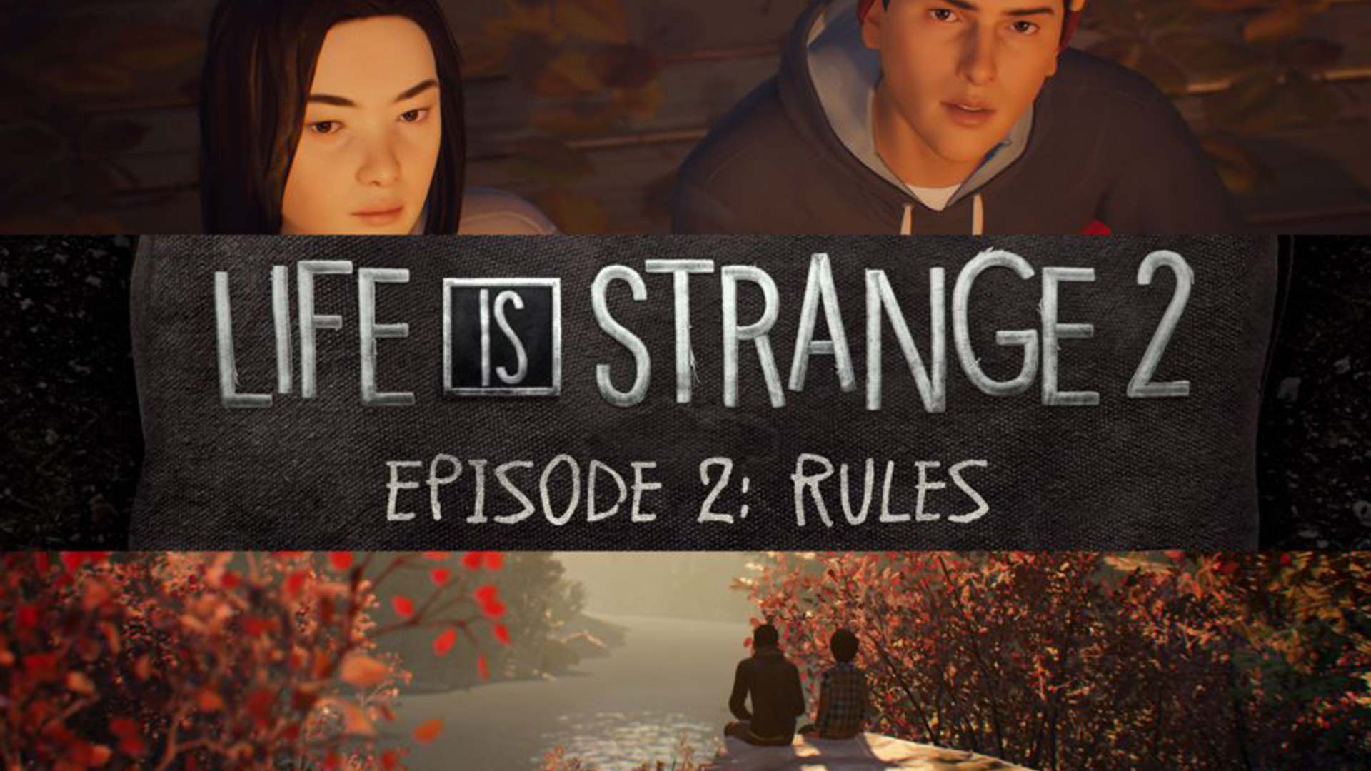 Life is Strange 2 - zweite Episode mit Releasetermin und genialer Trailer