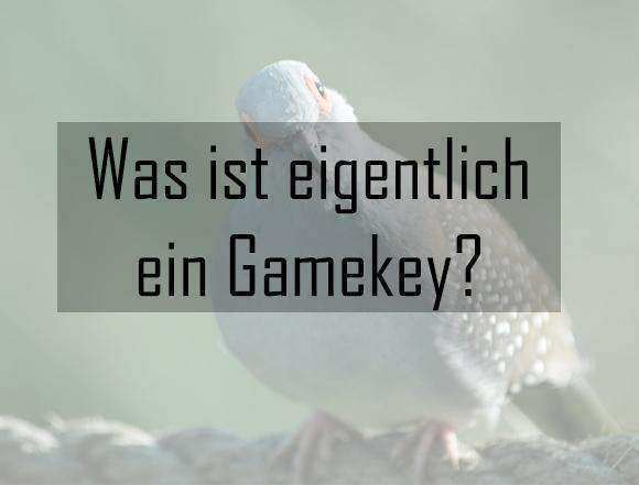 Was ist eigentlich ein Gamekey?