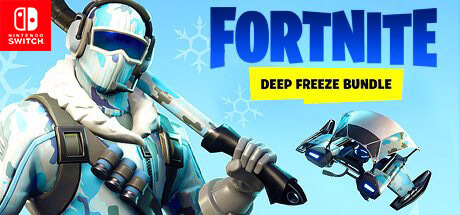 Fortnite Deep Freeze Bundle Nintendo Switch Code kaufen Key