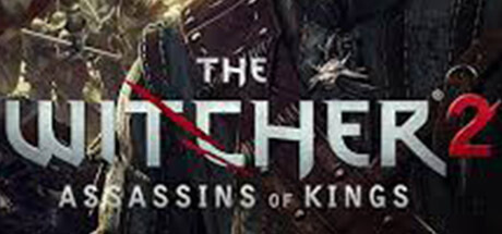 The Witcher 2 Assassins of Kings Key kaufen