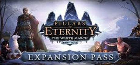  Pillars of Eternity - Expansion Pass kaufen
