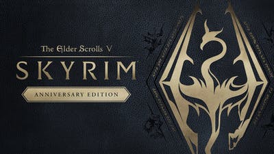 Skyrim Anniversary Edition Key kaufen Key