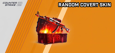 CS2 Random Covert Skin kaufen 