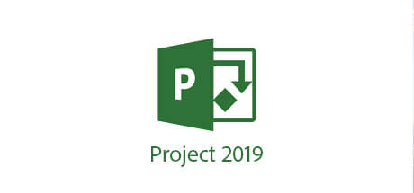 Microsoft Project 2019