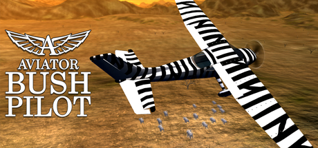 Aviator - Bush Pilot Key kaufen  Key