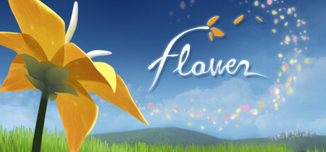 Jaquette de Flower