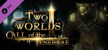 Two Worlds 2 - Call of the Tenebrae Key kaufen 