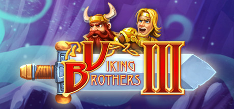 Viking Brothers 3 Key kaufen 