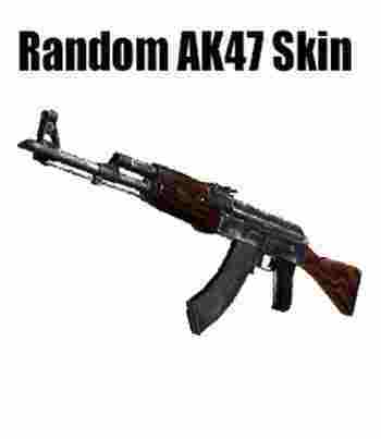 Counter Strike: Global Offensive Random Ak 47 Skin Code kaufen 