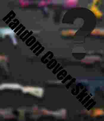 Counter Strike: Global Offensive Random Covert Ski1 Code kaufen 