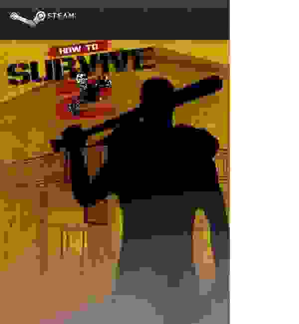 How to Survive 2 Key kaufen  Key