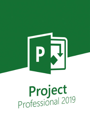 Microsoft Project 2019 Professiona1 Code kaufen 