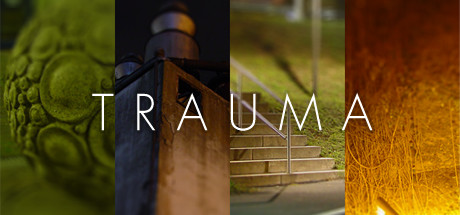 Trauma Key kaufen