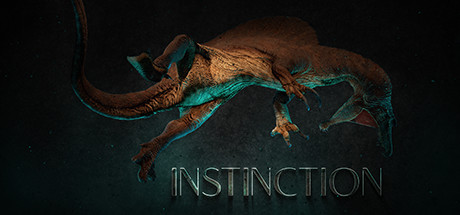Instinction Key kaufen