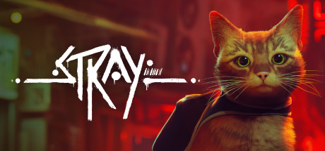Stray Key kaufen Key