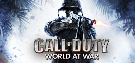 Call Of Duty 5 : World at War Key kaufen Key