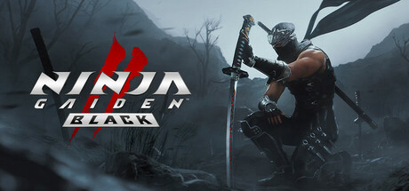 NINJA GAIDEN 2 Black Key kaufen Key