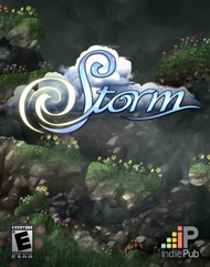 Storm Key kaufen Key