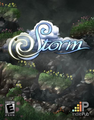 Storm Key kaufen