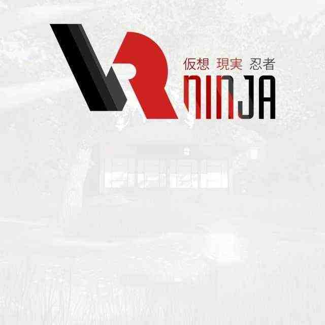 VRNinja Key kaufen 